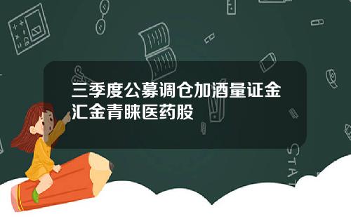 三季度公募调仓加酒量证金汇金青睐医药股