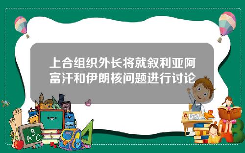 上合组织外长将就叙利亚阿富汗和伊朗核问题进行讨论