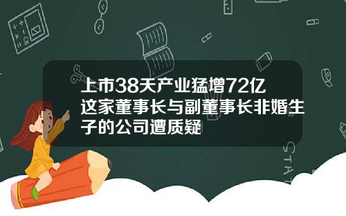 上市38天产业猛增72亿这家董事长与副董事长非婚生子的公司遭质疑