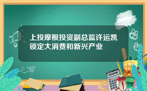 上投摩根投资副总监许运凯锁定大消费和新兴产业