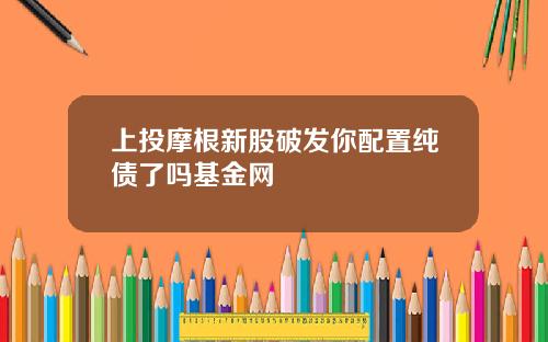 上投摩根新股破发你配置纯债了吗基金网