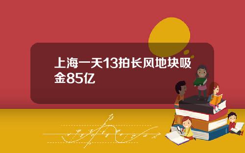 上海一天13拍长风地块吸金85亿