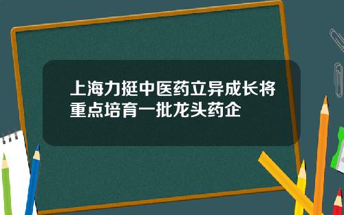 上海力挺中医药立异成长将重点培育一批龙头药企