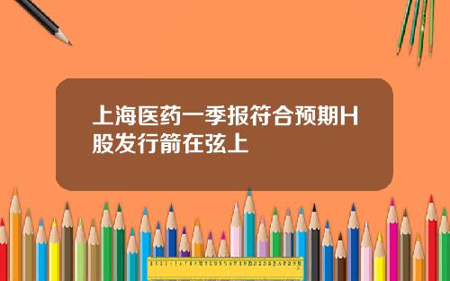 上海医药一季报符合预期H股发行箭在弦上