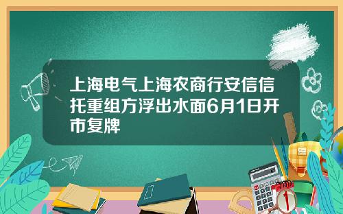 上海电气上海农商行安信信托重组方浮出水面6月1日开市复牌