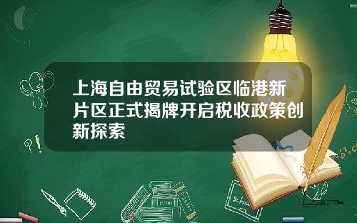 上海自由贸易试验区临港新片区正式揭牌开启税收政策创新探索