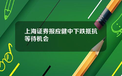 上海证券报应健中下跌抵抗等待机会