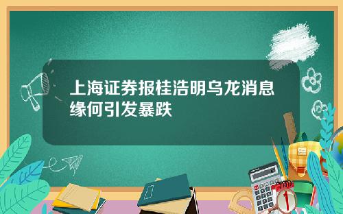 上海证券报桂浩明乌龙消息缘何引发暴跌