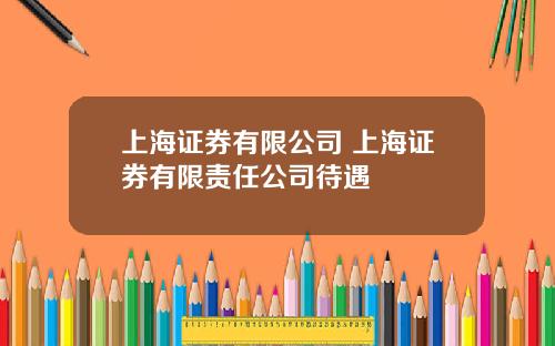 上海证券有限公司 上海证券有限责任公司待遇