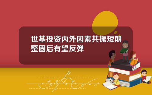 世基投资内外因素共振短期整固后有望反弹