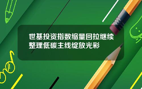 世基投资指数缩量回拉继续整理低碳主线绽放光彩