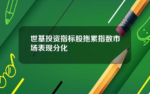 世基投资指标股拖累指数市场表现分化