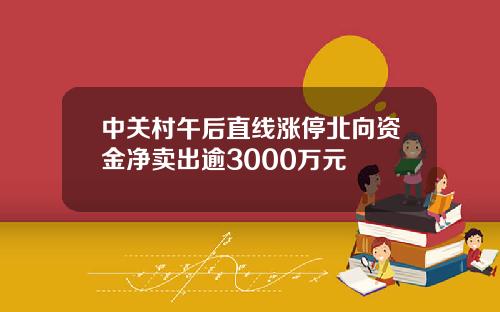 中关村午后直线涨停北向资金净卖出逾3000万元