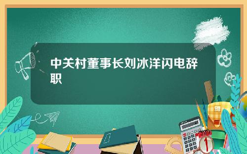 中关村董事长刘冰洋闪电辞职