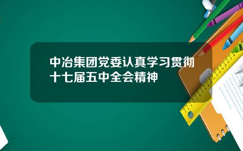 中冶集团党委认真学习贯彻十七届五中全会精神