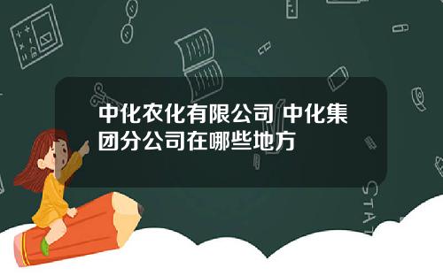 中化农化有限公司 中化集团分公司在哪些地方