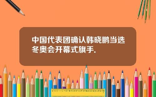 中国代表团确认韩晓鹏当选冬奥会开幕式旗手.