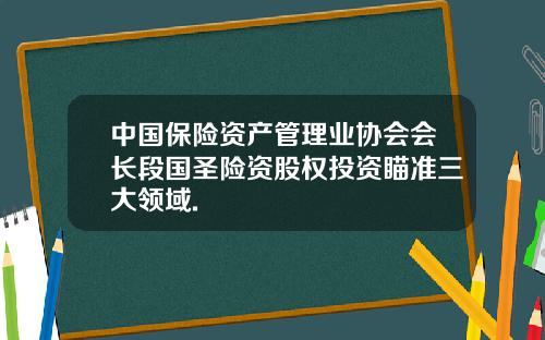 中国保险资产管理业协会会长段国圣险资股权投资瞄准三大领域.