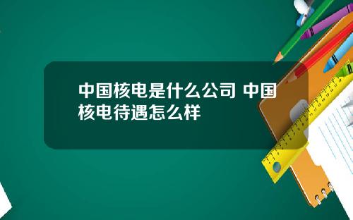 中国核电是什么公司 中国核电待遇怎么样