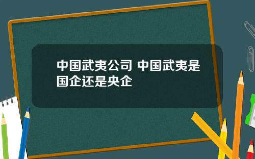 中国武夷公司 中国武夷是国企还是央企