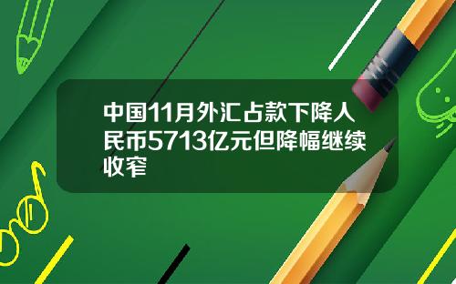 中国11月外汇占款下降人民币5713亿元但降幅继续收窄