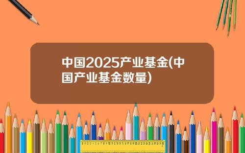 中国2025产业基金(中国产业基金数量)