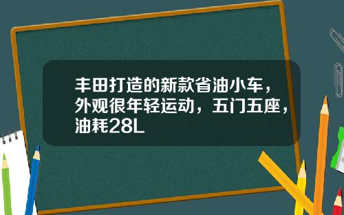 丰田打造的新款省油小车，外观很年轻运动，五门五座，油耗28L