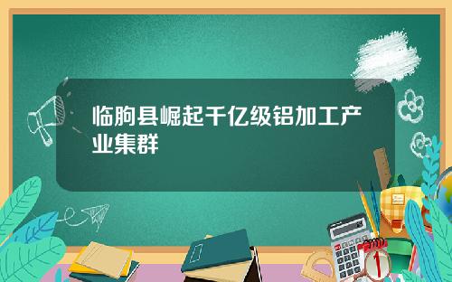 临朐县崛起千亿级铝加工产业集群