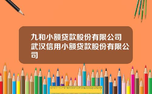 九和小额贷款股份有限公司武汉信用小额贷款股份有限公司