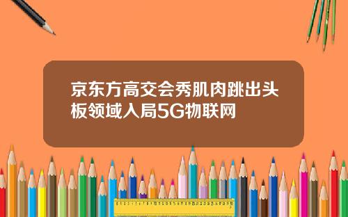 京东方高交会秀肌肉跳出头板领域入局5G物联网