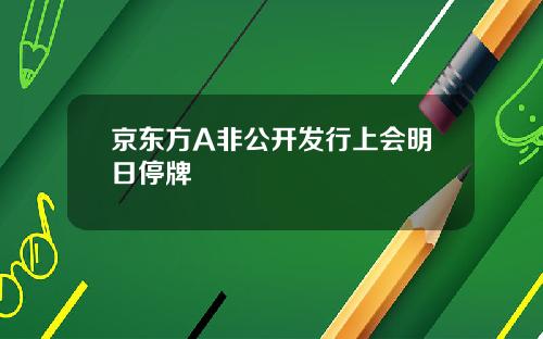 京东方A非公开发行上会明日停牌