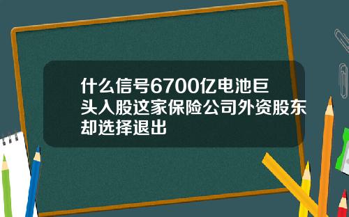 什么信号6700亿电池巨头入股这家保险公司外资股东却选择退出