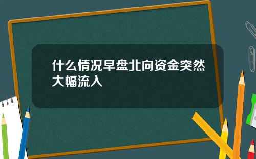 什么情况早盘北向资金突然大幅流入