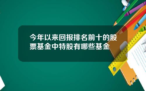 今年以来回报排名前十的股票基金中特股有哪些基金