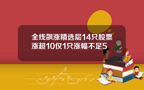 全线飙涨精选层14只股票涨超10仅1只涨幅不足5