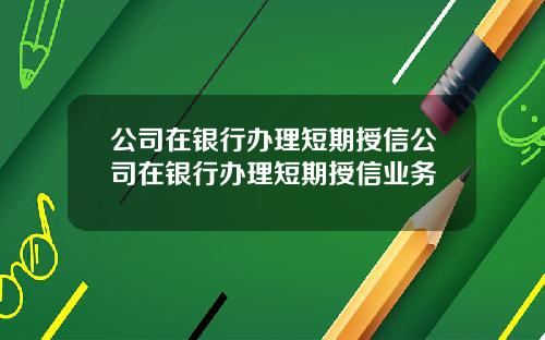 公司在银行办理短期授信公司在银行办理短期授信业务