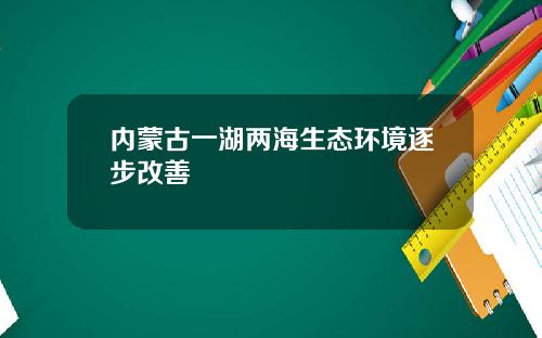 内蒙古一湖两海生态环境逐步改善