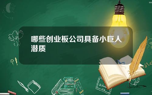 哪些创业板公司具备小巨人潜质