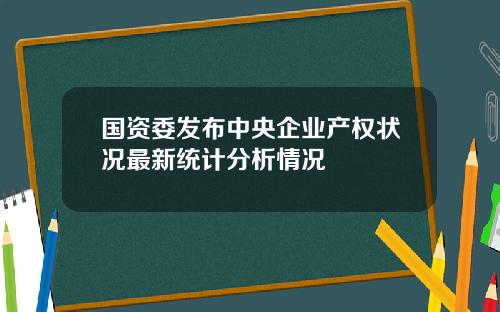 国资委发布中央企业产权状况最新统计分析情况