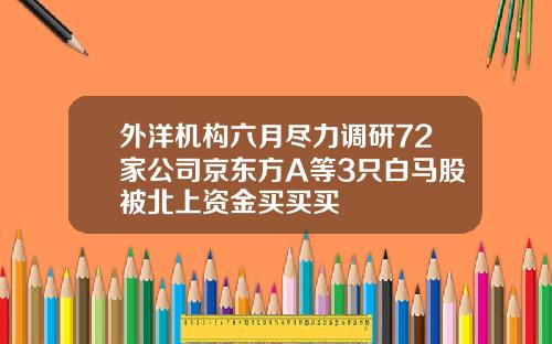 外洋机构六月尽力调研72家公司京东方A等3只白马股被北上资金买买买