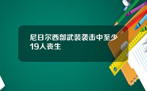 尼日尔西部武装袭击中至少19人丧生