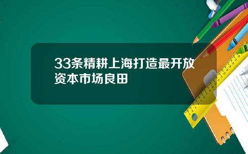 33条精耕上海打造最开放资本市场良田