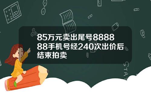 85万元卖出尾号888888手机号经240次出价后结束拍卖