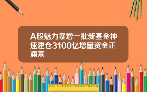 A股魅力暴增一批新基金神速建仓3100亿增量资金正涌来