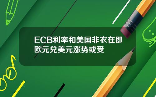 ECB利率和美国非农在即欧元兑美元涨势或受