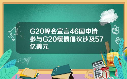 G20峰会宣言46国申请参与G20缓债倡议涉及57亿美元