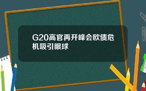 G20高官再开峰会欧债危机吸引眼球