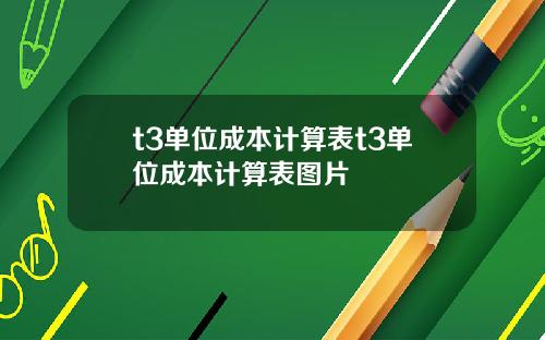 t3单位成本计算表t3单位成本计算表图片