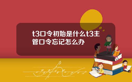 t3口令初始是什么t3主管口令忘记怎么办