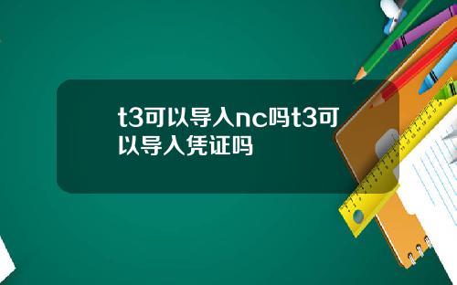 t3可以导入nc吗t3可以导入凭证吗